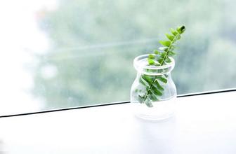 硬蛋网