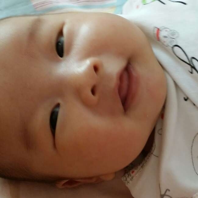 硬蛋网