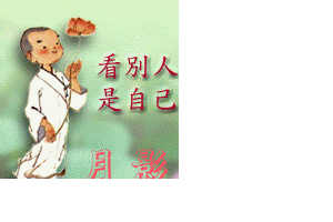 硬蛋网
