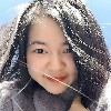 硬蛋网