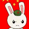 硬蛋网