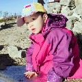 硬蛋网