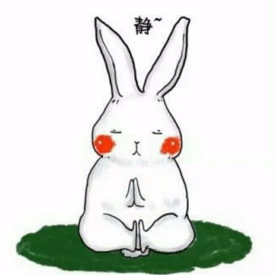 硬蛋网